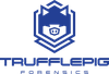 Trufflepig IT Forensics